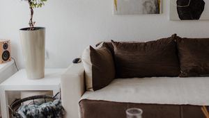 Preview wallpaper flower, plant, sofa, interior, aesthetics