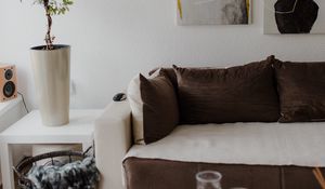 Preview wallpaper flower, plant, sofa, interior, aesthetics