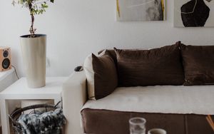 Preview wallpaper flower, plant, sofa, interior, aesthetics