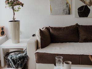 Preview wallpaper flower, plant, sofa, interior, aesthetics