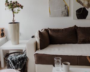 Preview wallpaper flower, plant, sofa, interior, aesthetics