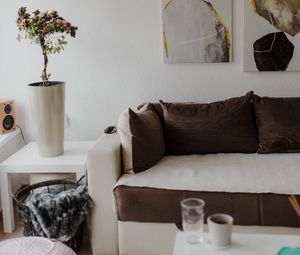 Preview wallpaper flower, plant, sofa, interior, aesthetics