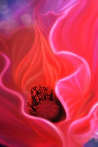 Preview wallpaper flower, poppy, graphic, colorful