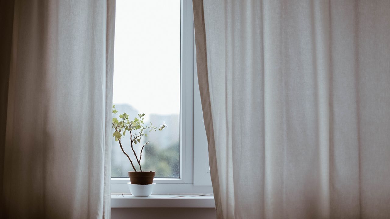 Wallpaper flower, pot, window, curtains, minimalism