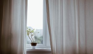 Preview wallpaper flower, pot, window, curtains, minimalism