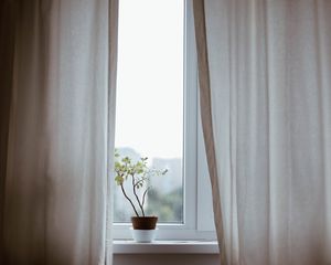 Preview wallpaper flower, pot, window, curtains, minimalism