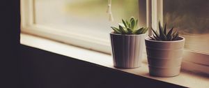 Preview wallpaper flower pots, window sill, indoor plants