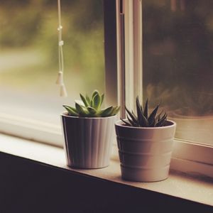 Preview wallpaper flower pots, window sill, indoor plants