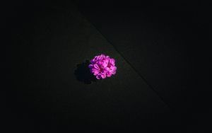 Preview wallpaper flower, purple, petals, water
