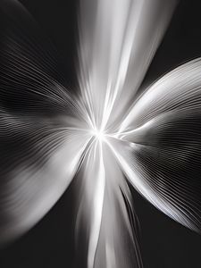 Preview wallpaper flower, rays, stripes, blur, bw