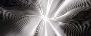Preview wallpaper flower, rays, stripes, blur, bw