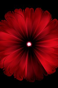 Preview wallpaper flower, red, glow, fractal, digital, abstraction