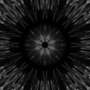 Preview wallpaper flower, shapes, lines, abstraction, black and white