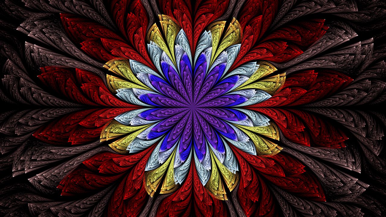Wallpaper flower, shapes, pattern, abstraction hd, picture, image