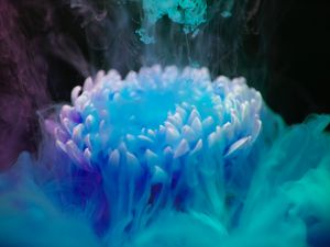 Preview wallpaper flower, smoke, paint, blue, shroud