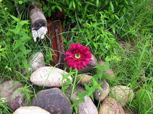 Preview wallpaper flower, solitude, stones, grass, herbs