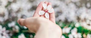 Preview wallpaper flower, spring, blossom, hand