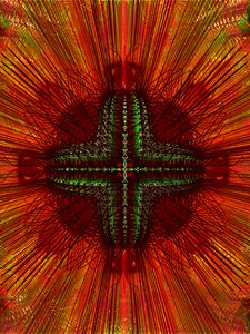 Preview wallpaper flower, stripes, lines, pattern