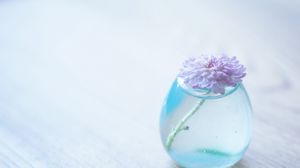 Preview wallpaper flower, vase, glass, table