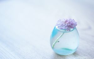 Preview wallpaper flower, vase, glass, table