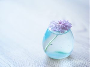 Preview wallpaper flower, vase, glass, table