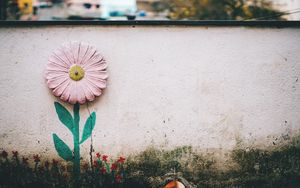 Preview wallpaper flower, wall, art