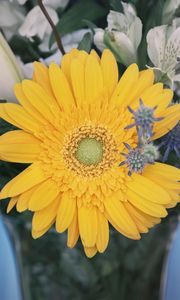 Preview wallpaper flower, yellow, bud, petals