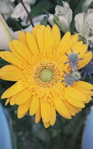 Preview wallpaper flower, yellow, bud, petals