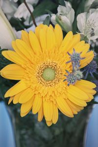 Preview wallpaper flower, yellow, bud, petals