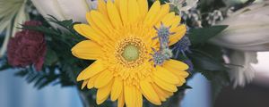 Preview wallpaper flower, yellow, bud, petals