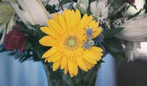 Preview wallpaper flower, yellow, bud, petals