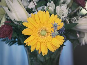 Preview wallpaper flower, yellow, bud, petals