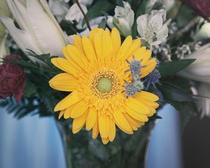 Preview wallpaper flower, yellow, bud, petals