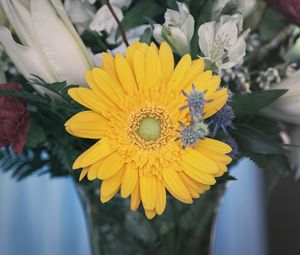 Preview wallpaper flower, yellow, bud, petals
