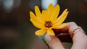 Preview wallpaper flower, yellow, hand, fingers, closeup
