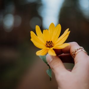 Preview wallpaper flower, yellow, hand, fingers, closeup