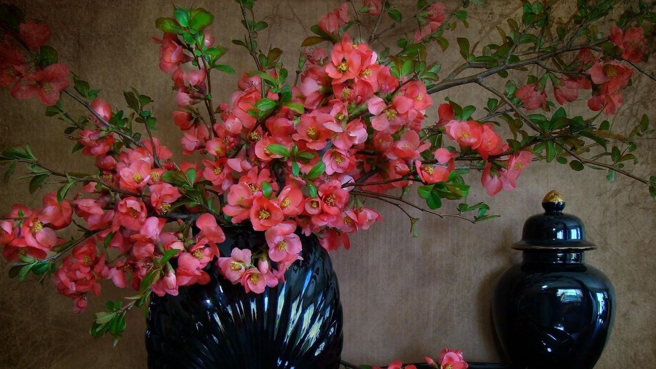 Wallpaper flowering, branches, vase, spring, petals, plate