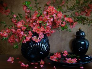 Preview wallpaper flowering, branches, vase, spring, petals, plate
