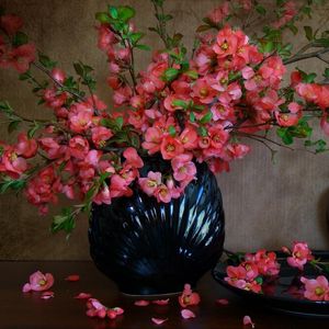 Preview wallpaper flowering, branches, vase, spring, petals, plate