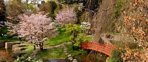 Preview wallpaper flowering, trees, bridge, stones, registration, from above, cloudy