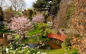 Preview wallpaper flowering, trees, bridge, stones, registration, from above, cloudy