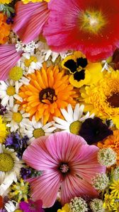 Preview wallpaper flowers, arrangements, bouquets, beautifully