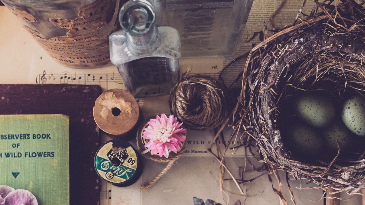 Wallpaper flowers, ball, nest, aesthetics