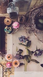 Preview wallpaper flowers, ball, nest, aesthetics