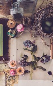 Preview wallpaper flowers, ball, nest, aesthetics