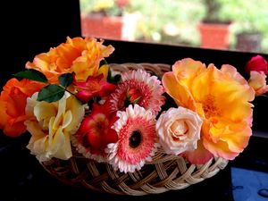 Preview wallpaper flowers, basket, beautiful