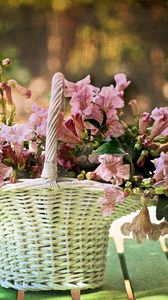 Preview wallpaper flowers, basket, blurring