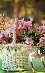 Preview wallpaper flowers, basket, blurring