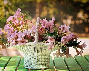 Preview wallpaper flowers, basket, blurring