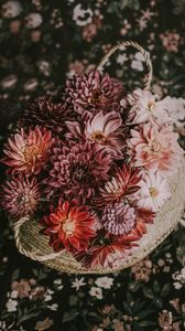 Preview wallpaper flowers, basket, bouquet, composition, autumn